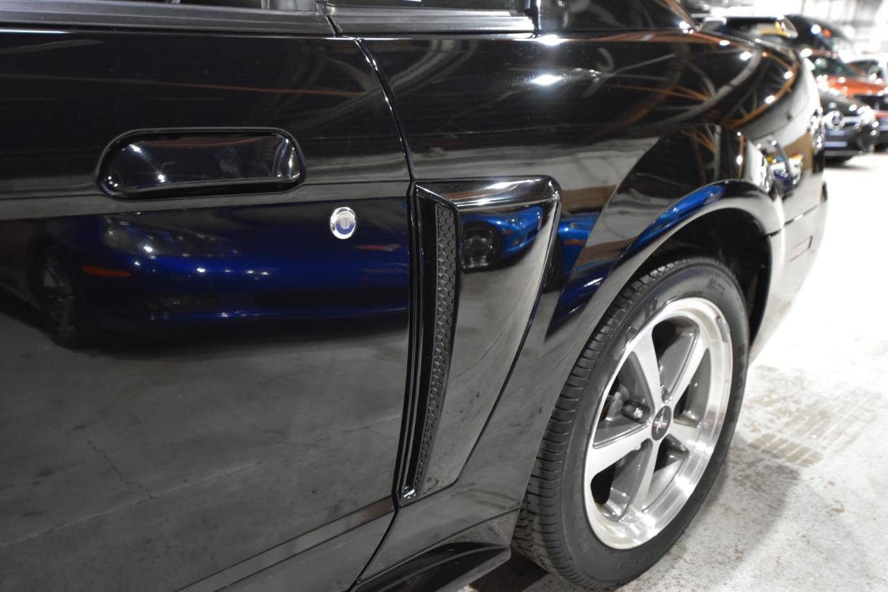 Used 2004 Ford Mustang Mach 1 RWD image 8