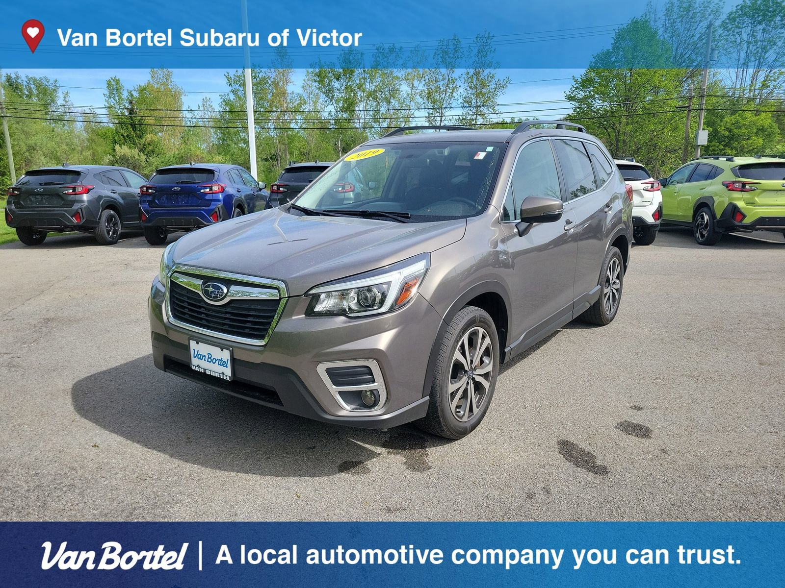 Used 2019 Subaru Forester Limited AWD/4WD image 1