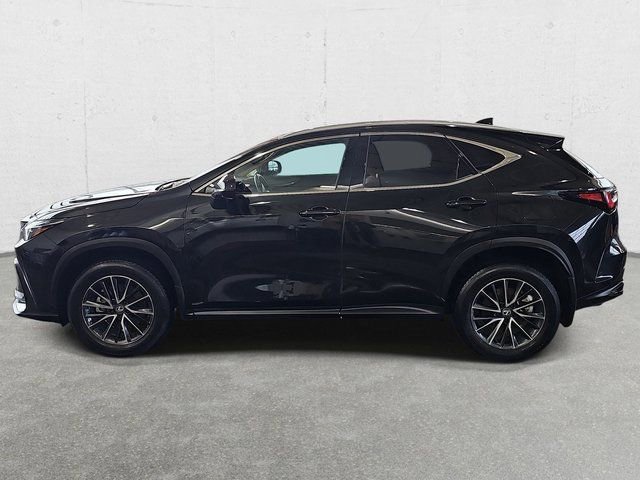 Certified 2024 Lexus NX 350 AWD w/ Vision Package image 8