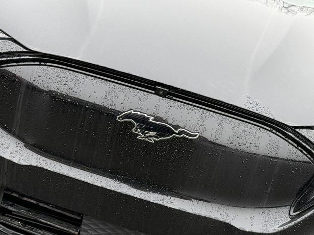 New 2026 Ford Mustang Mach-E Premium w/ Technology Package AWD/4WD image 3