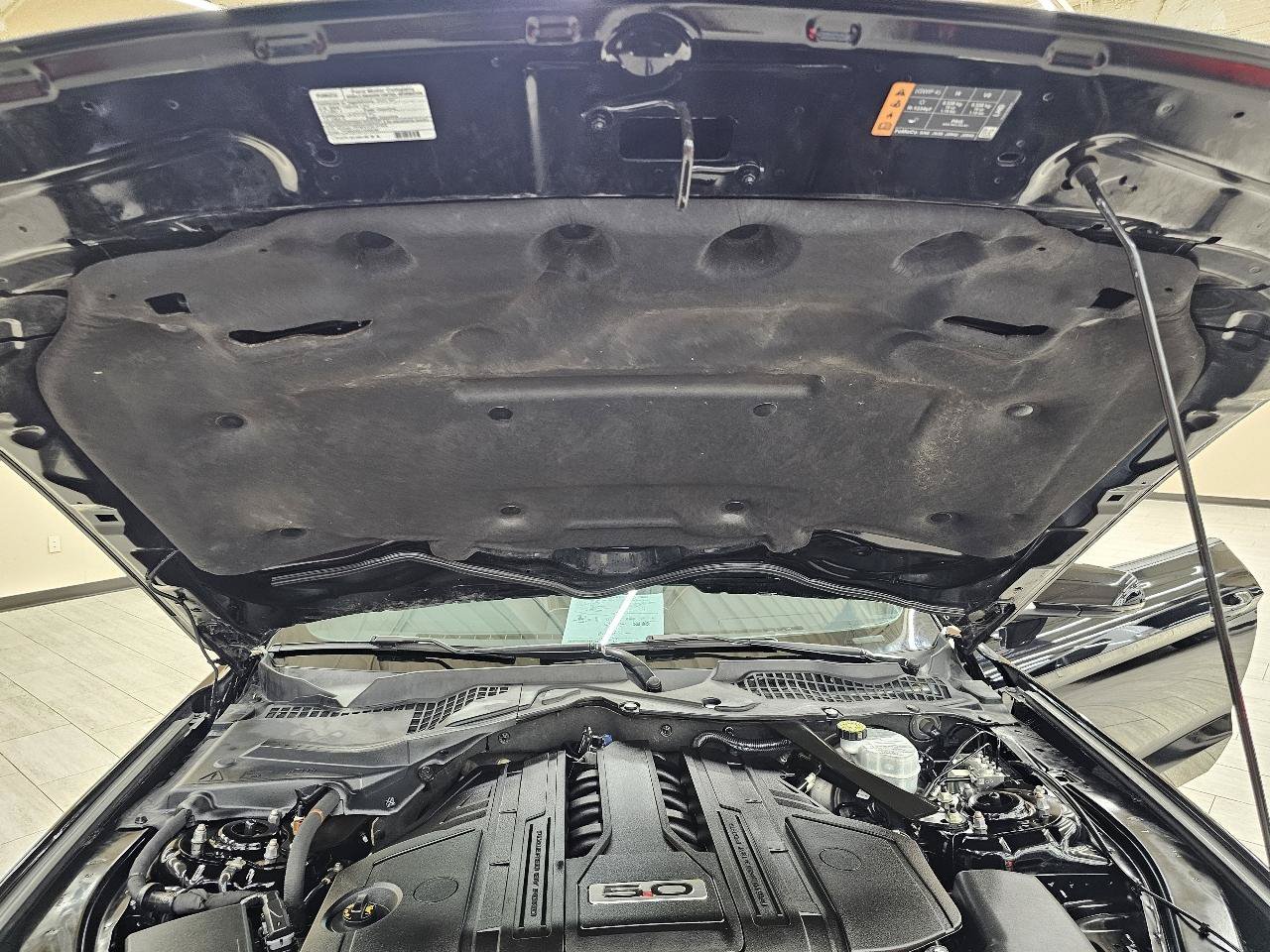 Used 2023 Ford Mustang GT Premium w/ Equipment Group 401A RWD image 41