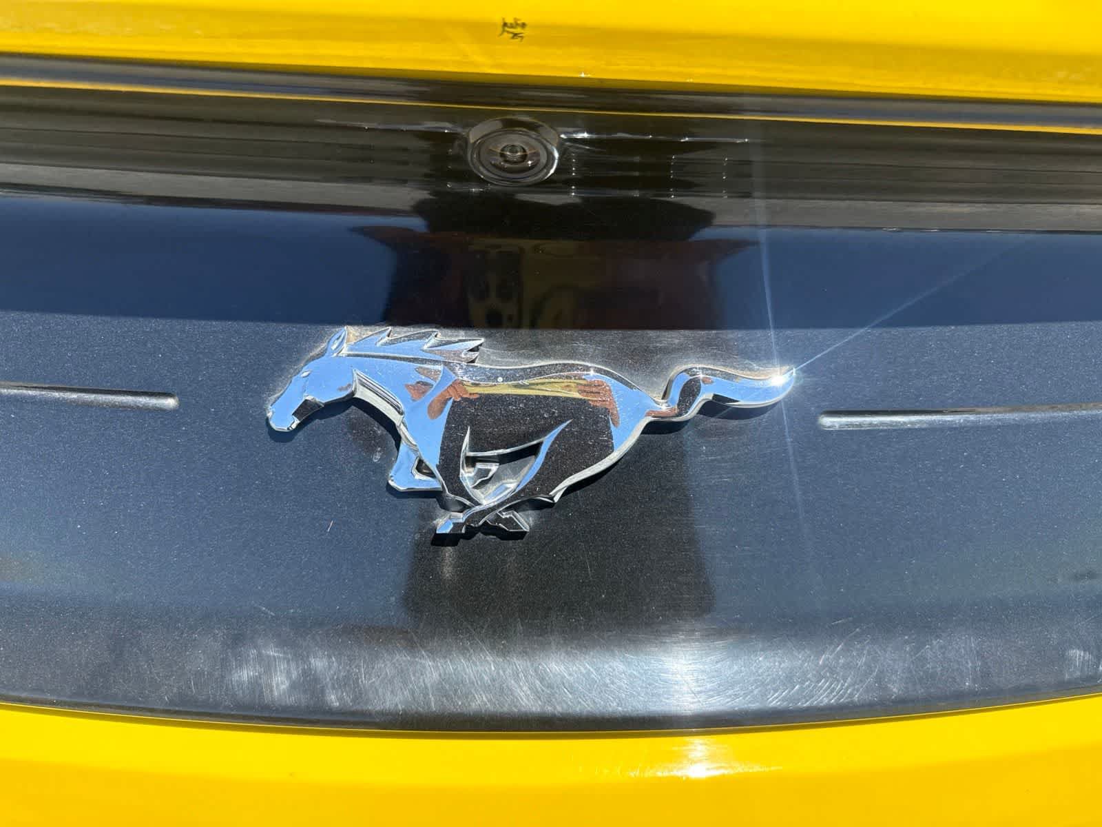 Used 2018 Ford Mustang Premium w/ Equipment Group 201A RWD image 13