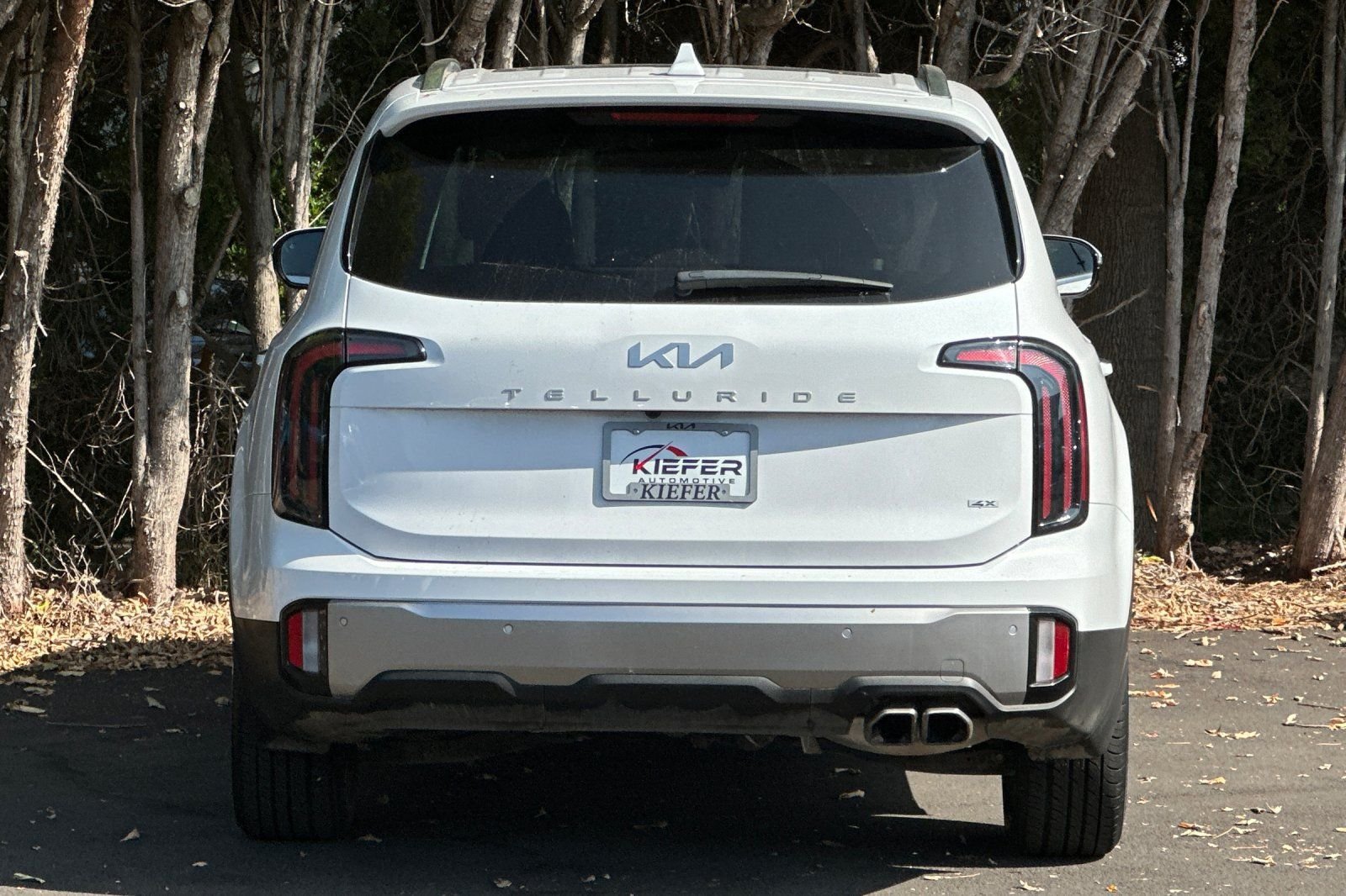 Used 2025 Kia Telluride SX Prestige AWD/4WD image 5