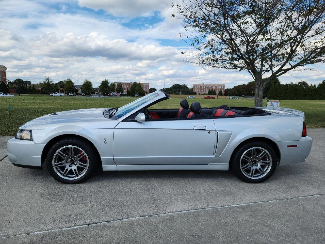 Used 2003 Ford Mustang Cobra image 13