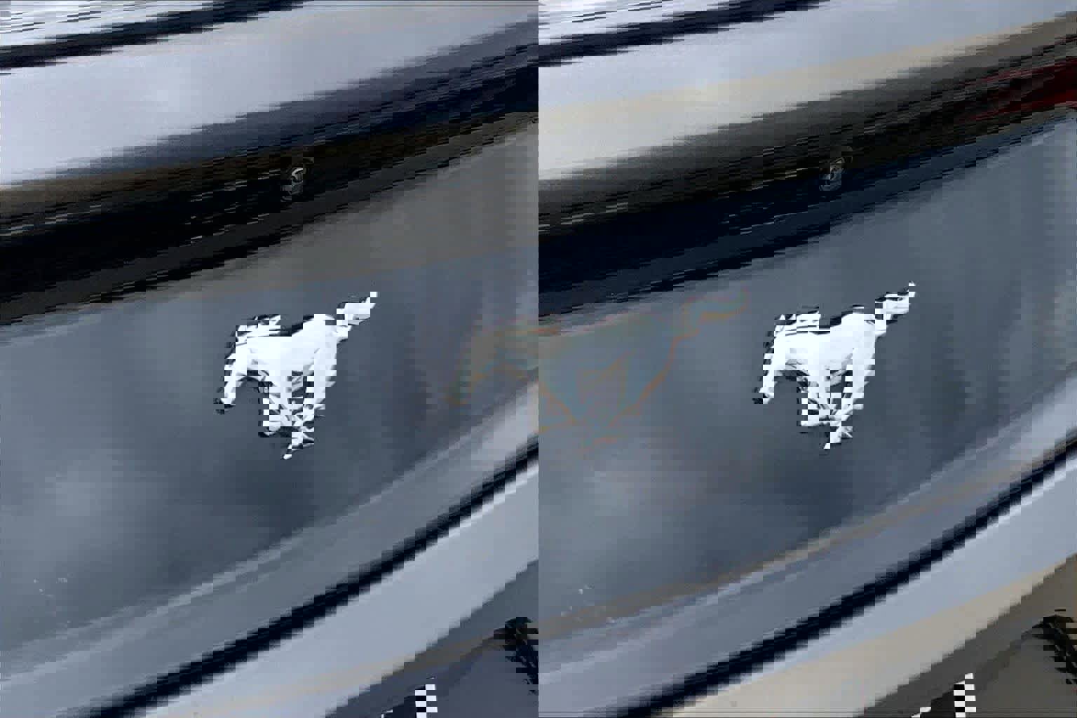 Used 2017 Ford Mustang Coupe RWD image 27