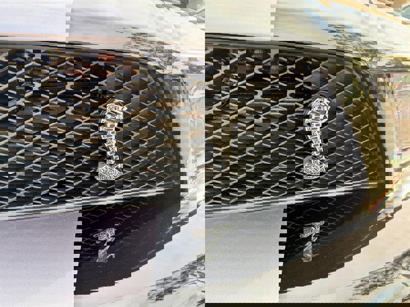 Used 2007 Ford Mustang Shelby GT500 image 14