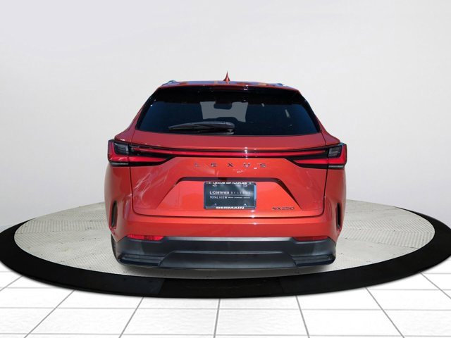 Used 2024 Lexus NX 250 FWD image 5