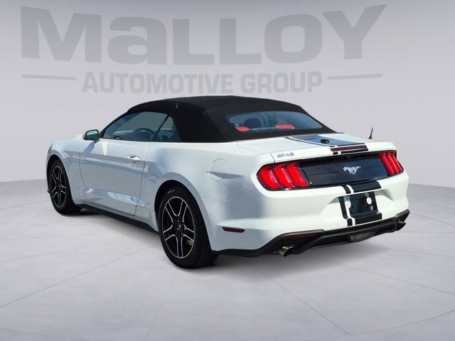 Used 2022 Ford Mustang Premium w/ Equipment Group 201A image 3
