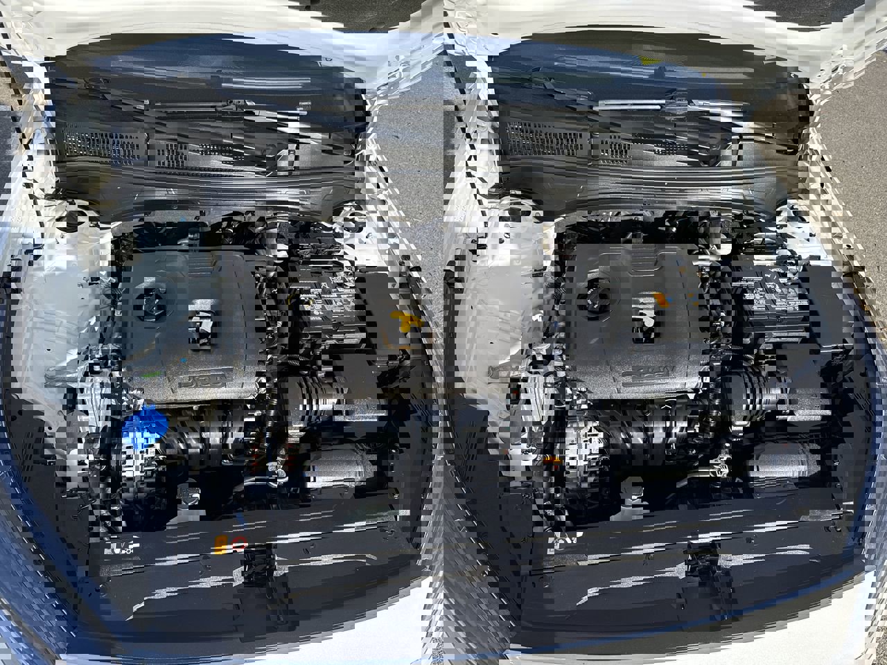 Used 2024 Kia Forte LXS image 25