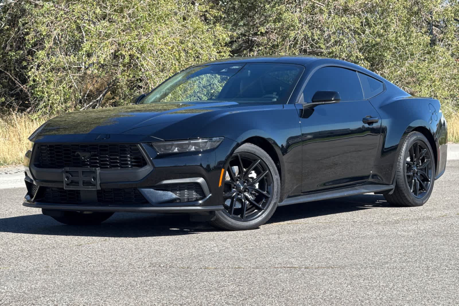Certified 2024 Ford Mustang Premium w/ Mustang Nite Pony Package