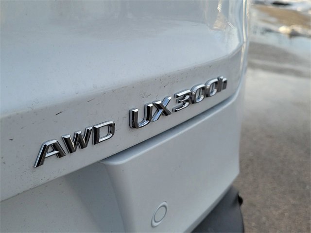 New 2025 Lexus UX 300h AWD image 6