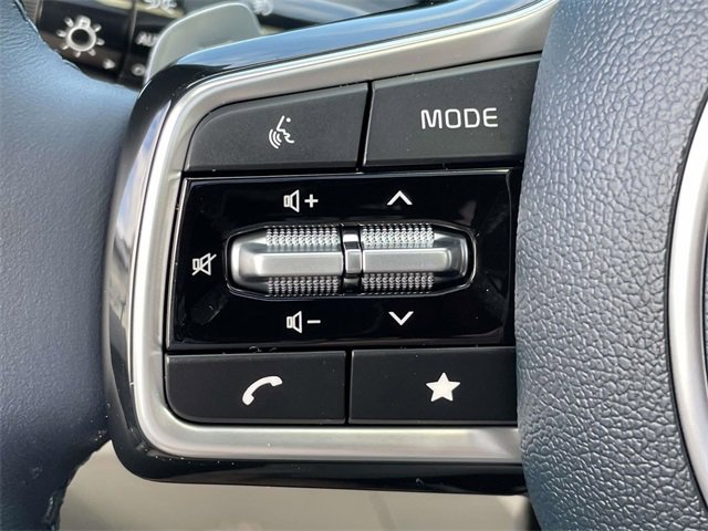 New 2026 Kia Carnival SX Prestige image 30