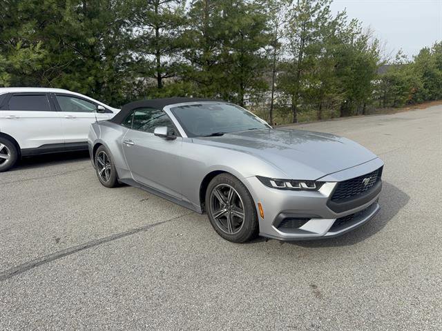 Used 2024 Ford Mustang Premium image 4