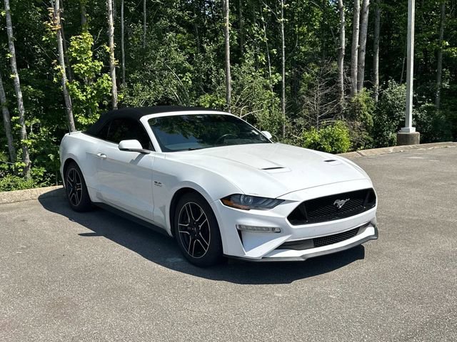 Used 2023 Ford Mustang GT Premium w/ Equipment Group 401A RWD image 2