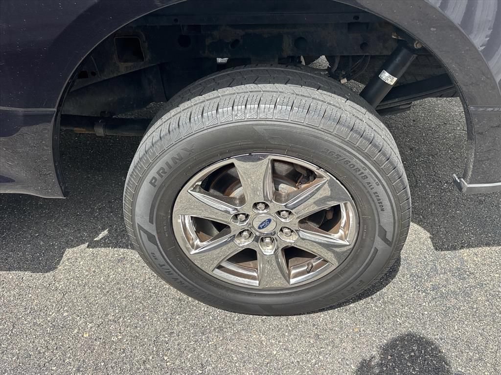 Used 2019 Ford F150 XLT w/ Equipment Group 302A Luxury AWD/4WD image 14