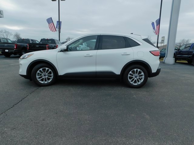 Used 2020 Ford Escape SE image 6