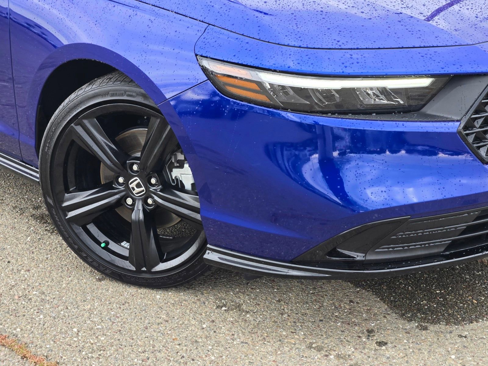 Used 2024 Honda Accord Sport image 9