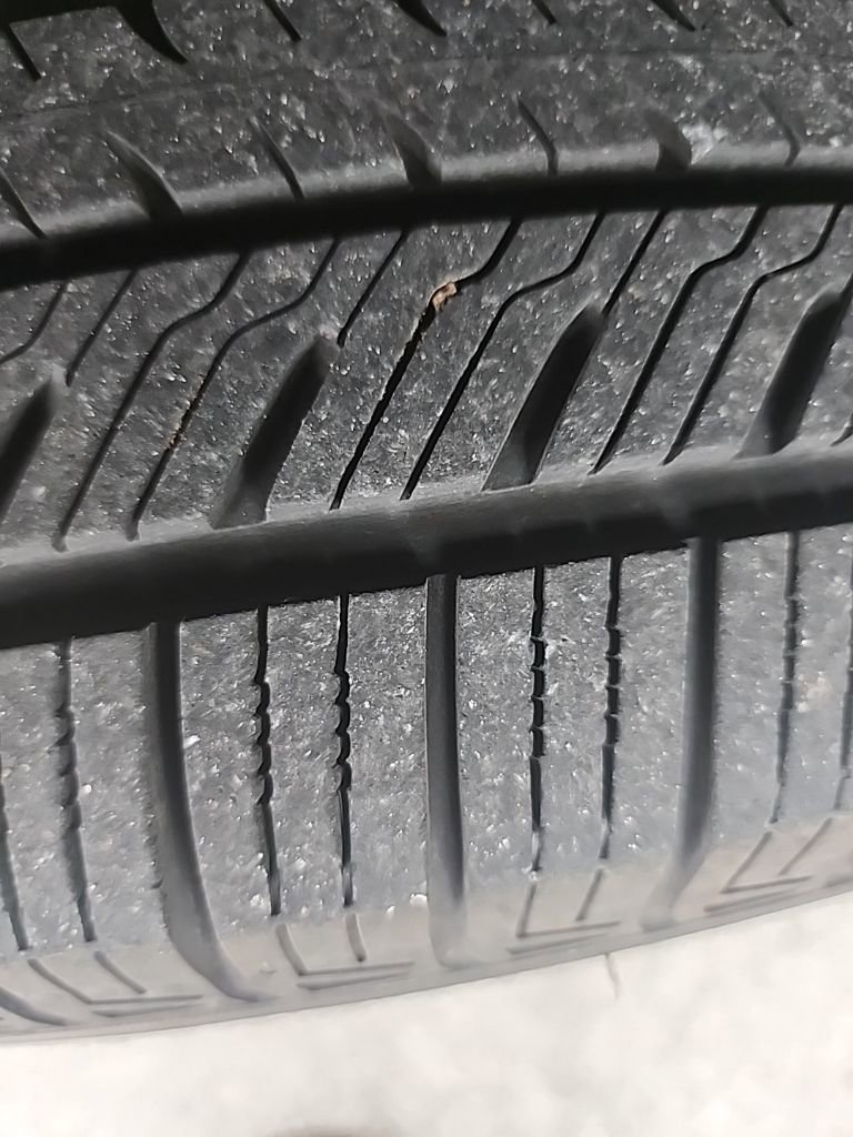 Used 2019 Volkswagen Tiguan SE image 8