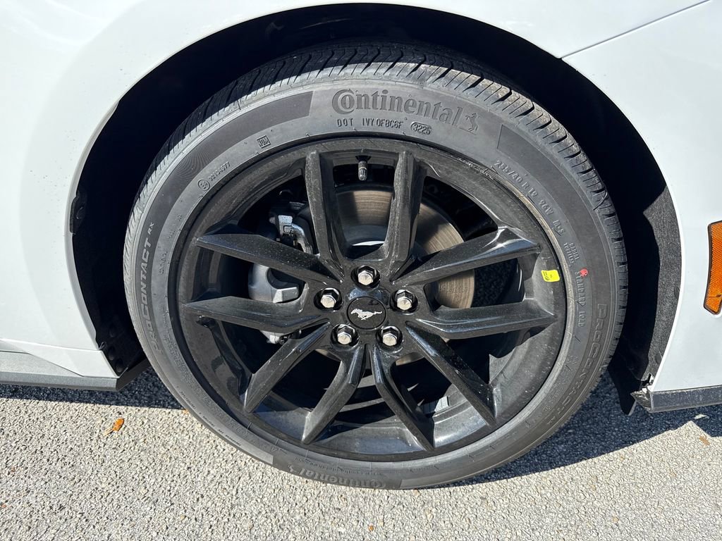 New 2026 Ford Mustang Premium w/ Mustang Nite Pony Package image 10