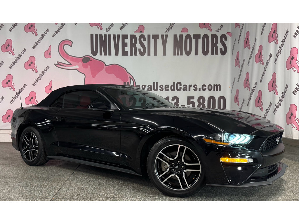 Used 2018 Ford Mustang Premium w/ Equipment Group 201A RWD image 4