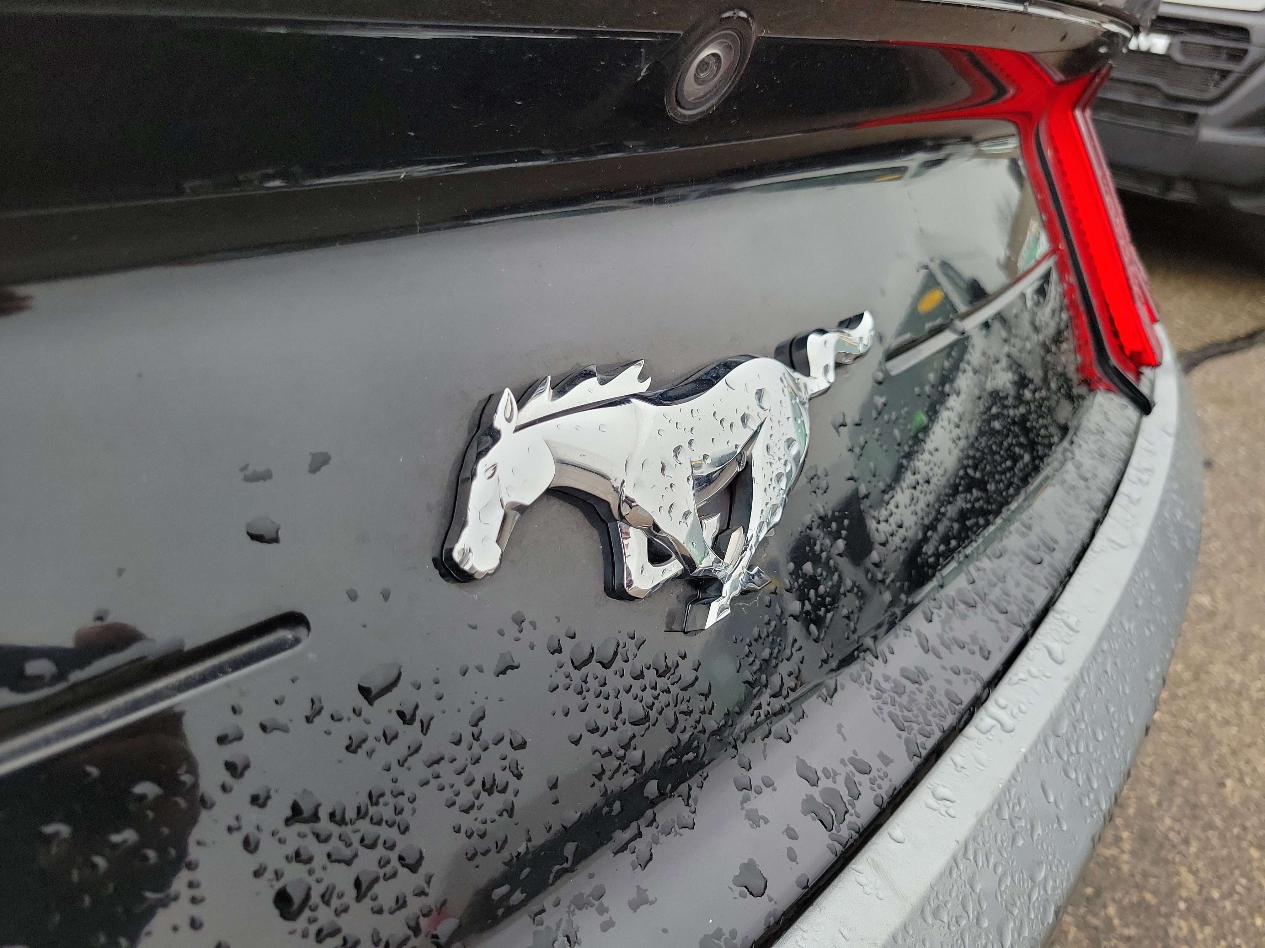 Used 2022 Ford Mustang Premium image 21