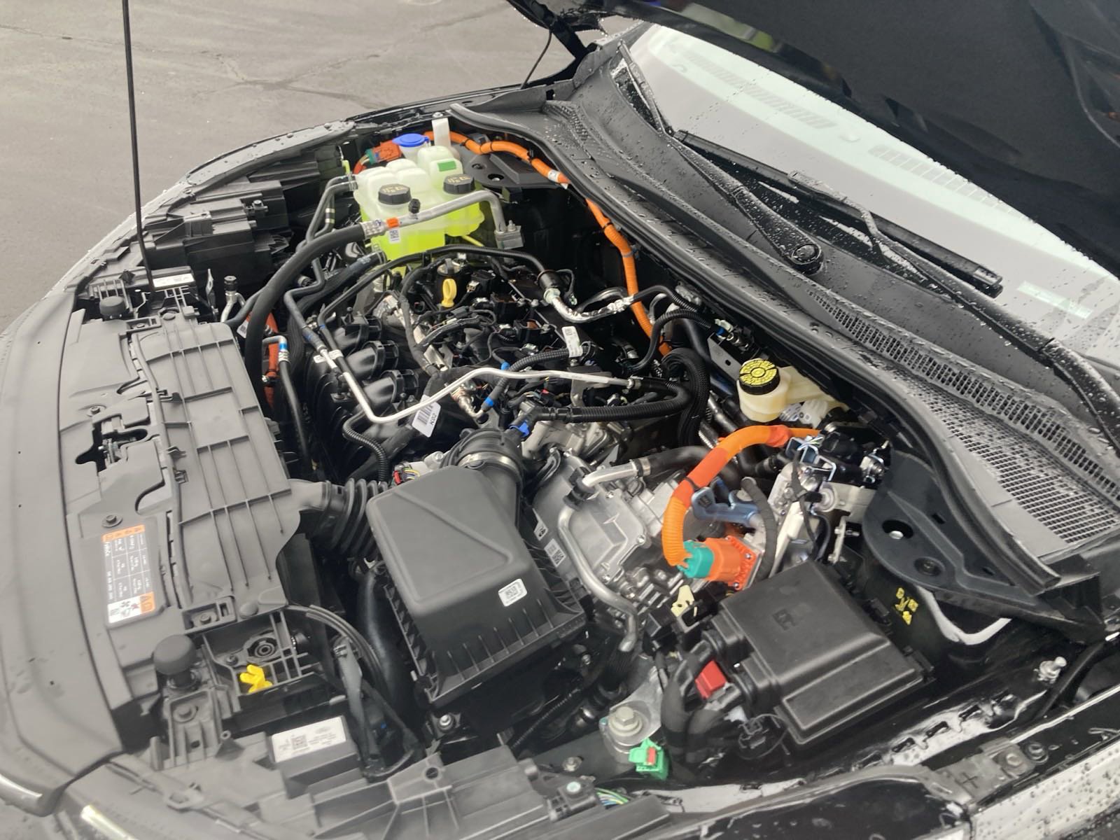 New 2024 Ford Escape ST-Line Select w/ Tech Pack #2 image 20