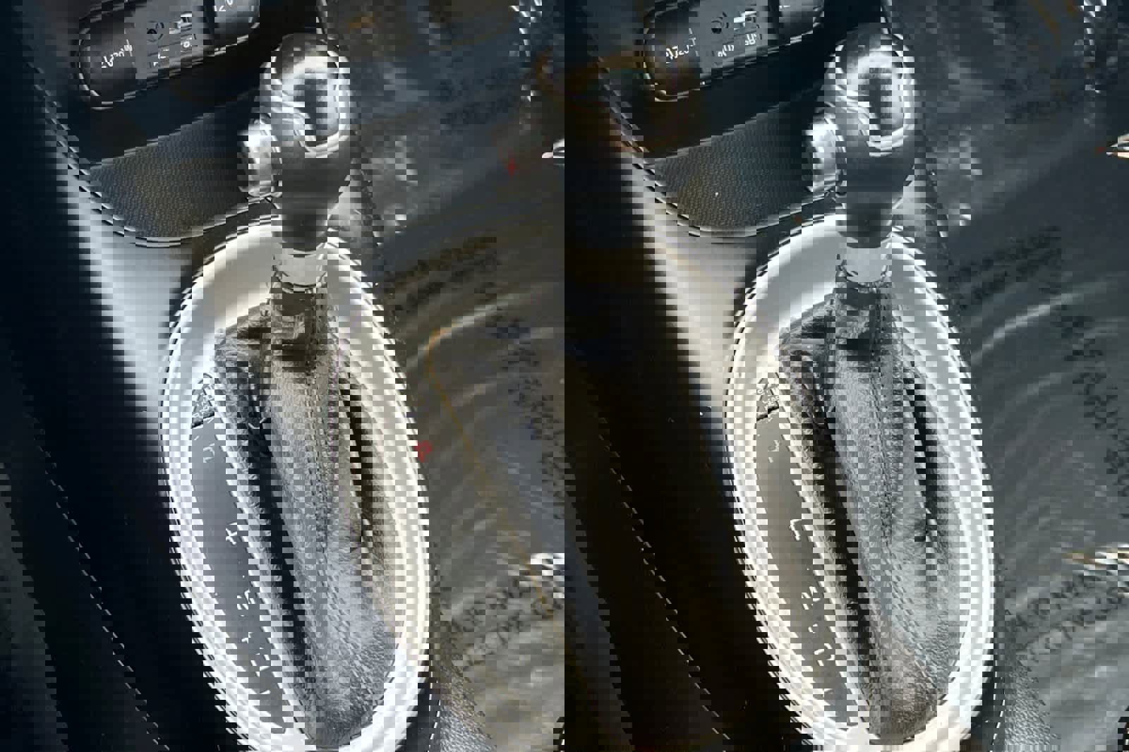 Used 2019 Kia Soul w/ Convenience Package image 22