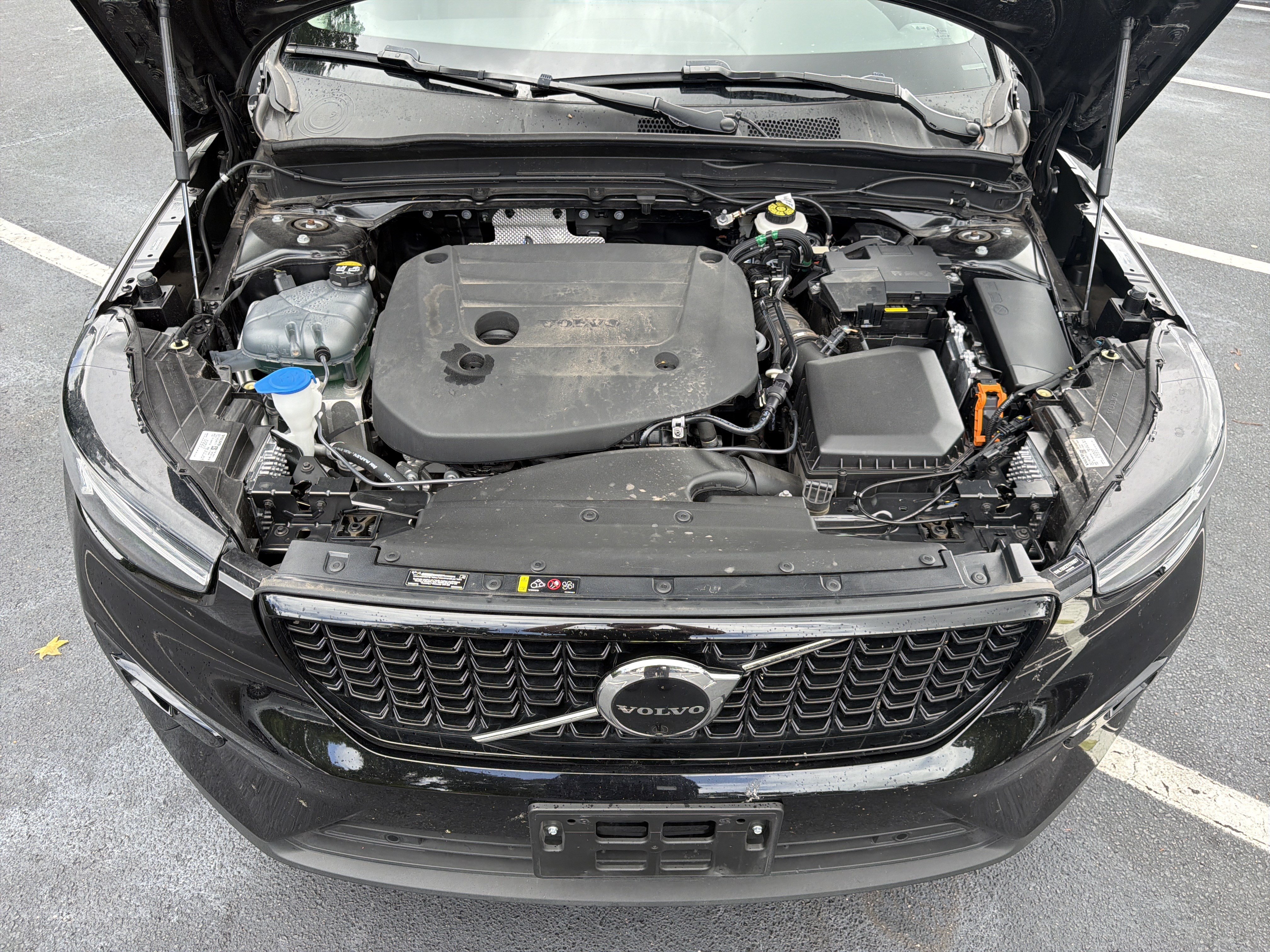 Certified 2026 Volvo XC40 B5 Plus AWD/4WD image 36