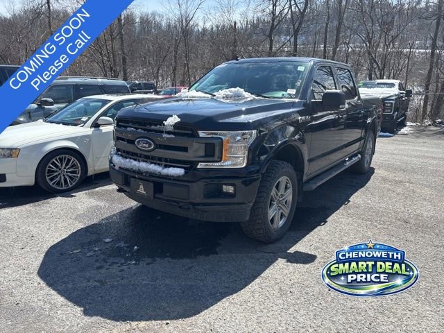 Used 2019 Ford F150 XLT w/ Equipment Group 302A Luxury image 3
