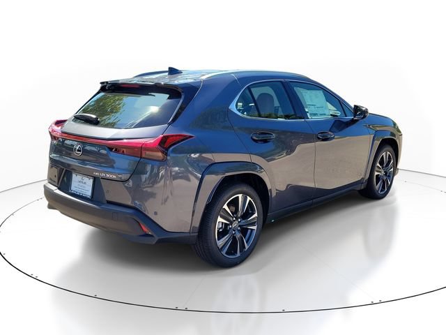 New 2026 Lexus UX 300h AWD image 4