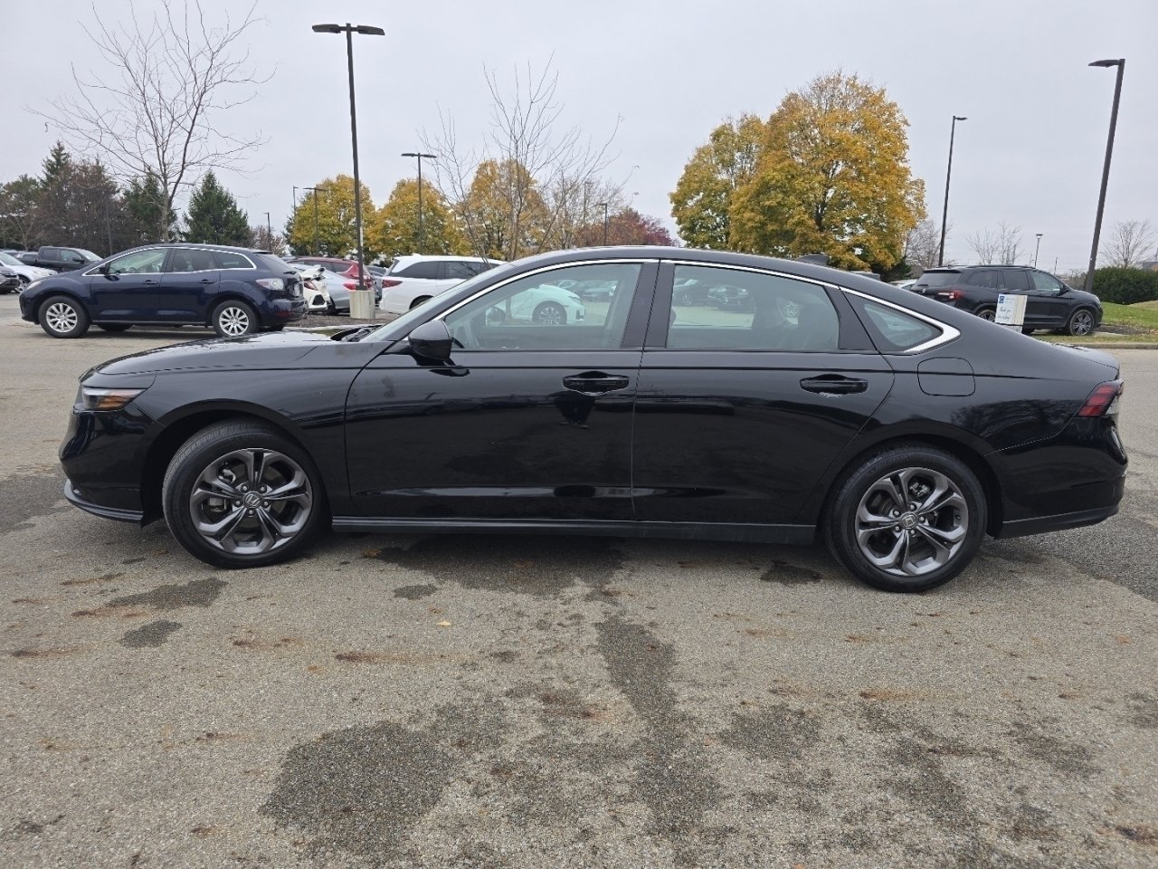 Certified 2023 Honda Accord EX image 12