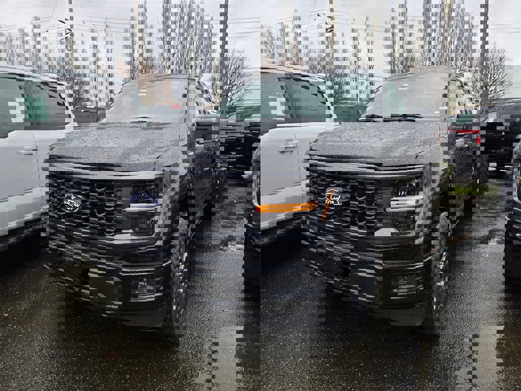 New 2025 Ford F150 STX w/ Equipment Group 200A image 1