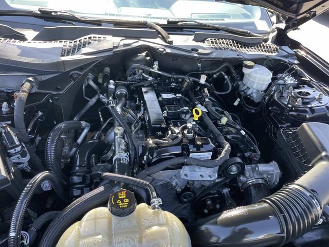 Used 2021 Ford Mustang EcoBoost w/ Equipment Group 101A image 38