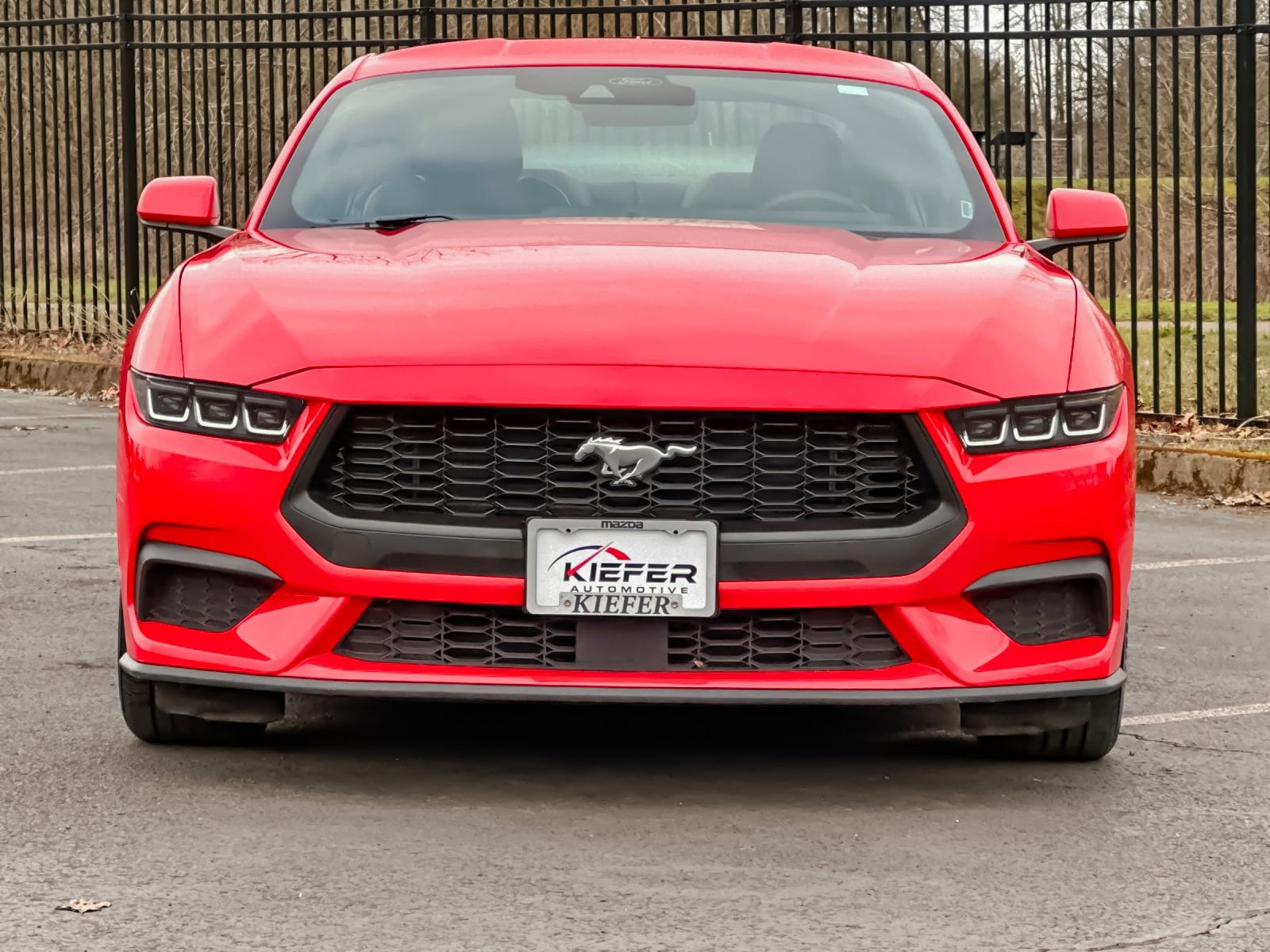 Used 2024 Ford Mustang Premium image 8