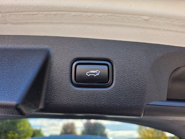 Used 2020 Kia Telluride SX w/ SX Prestige Package AWD/4WD image 11