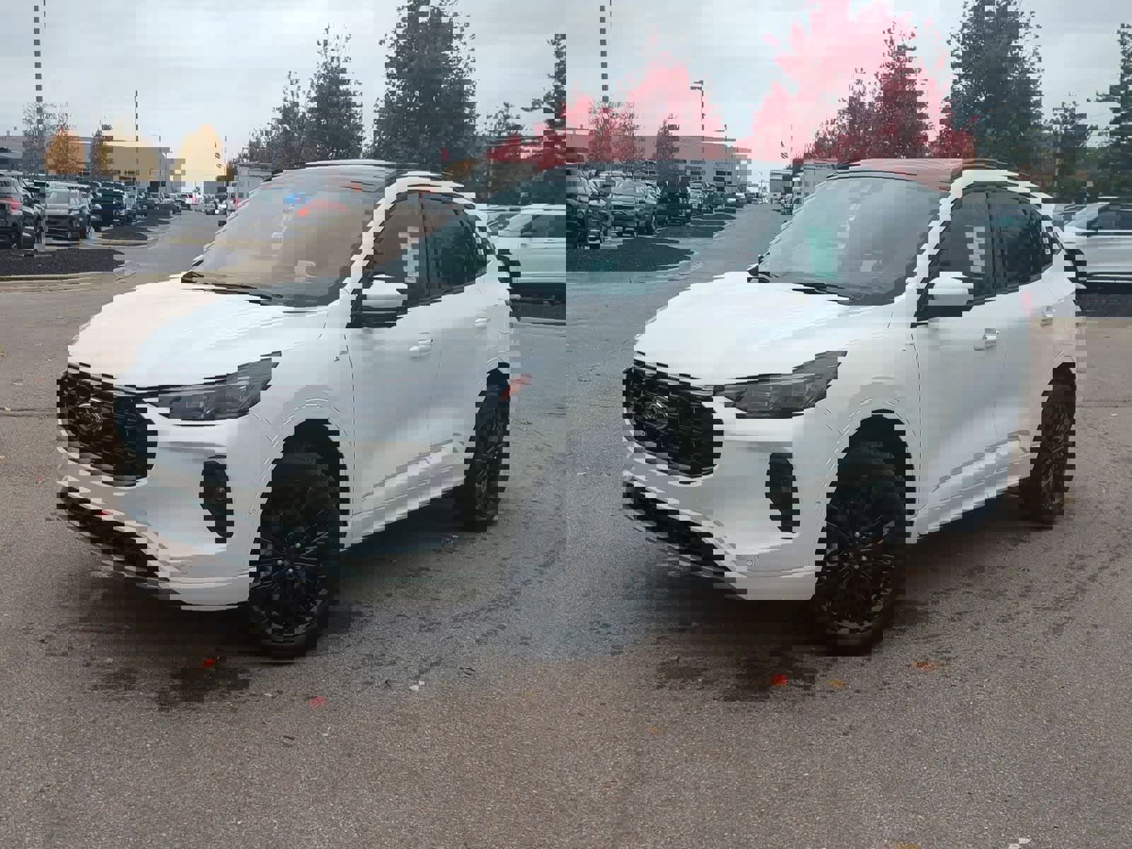 Used 2024 Ford Escape ST-Line Elite w/ Premium Technology Package