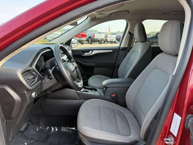 Used 2020 Ford Escape SE AWD/4WD image 11