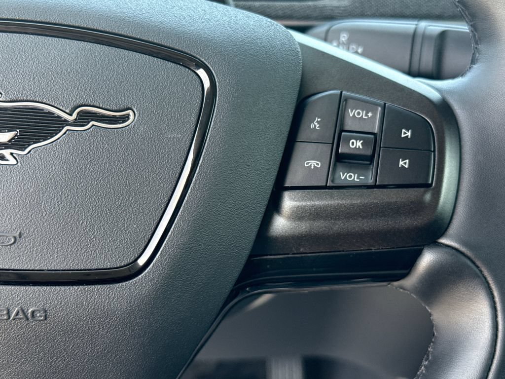 Used 2025 Ford Mustang Mach-E Premium RWD image 16