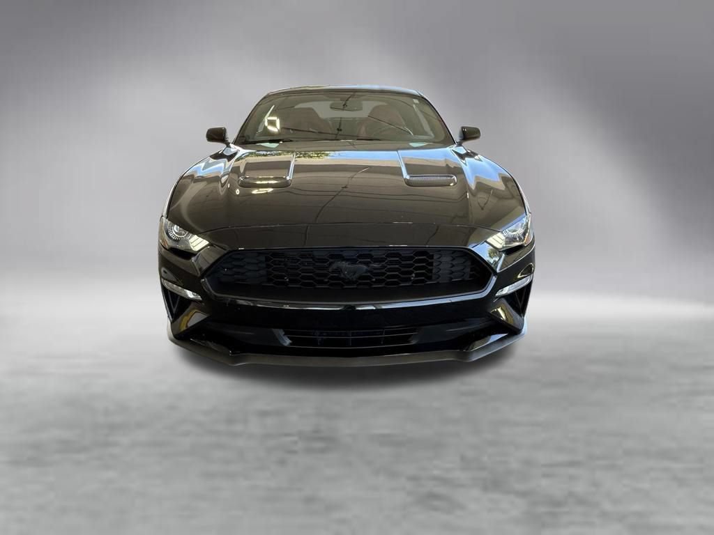 Used 2019 Ford Mustang Premium w/ Ecoboost Performance Package RWD image 9