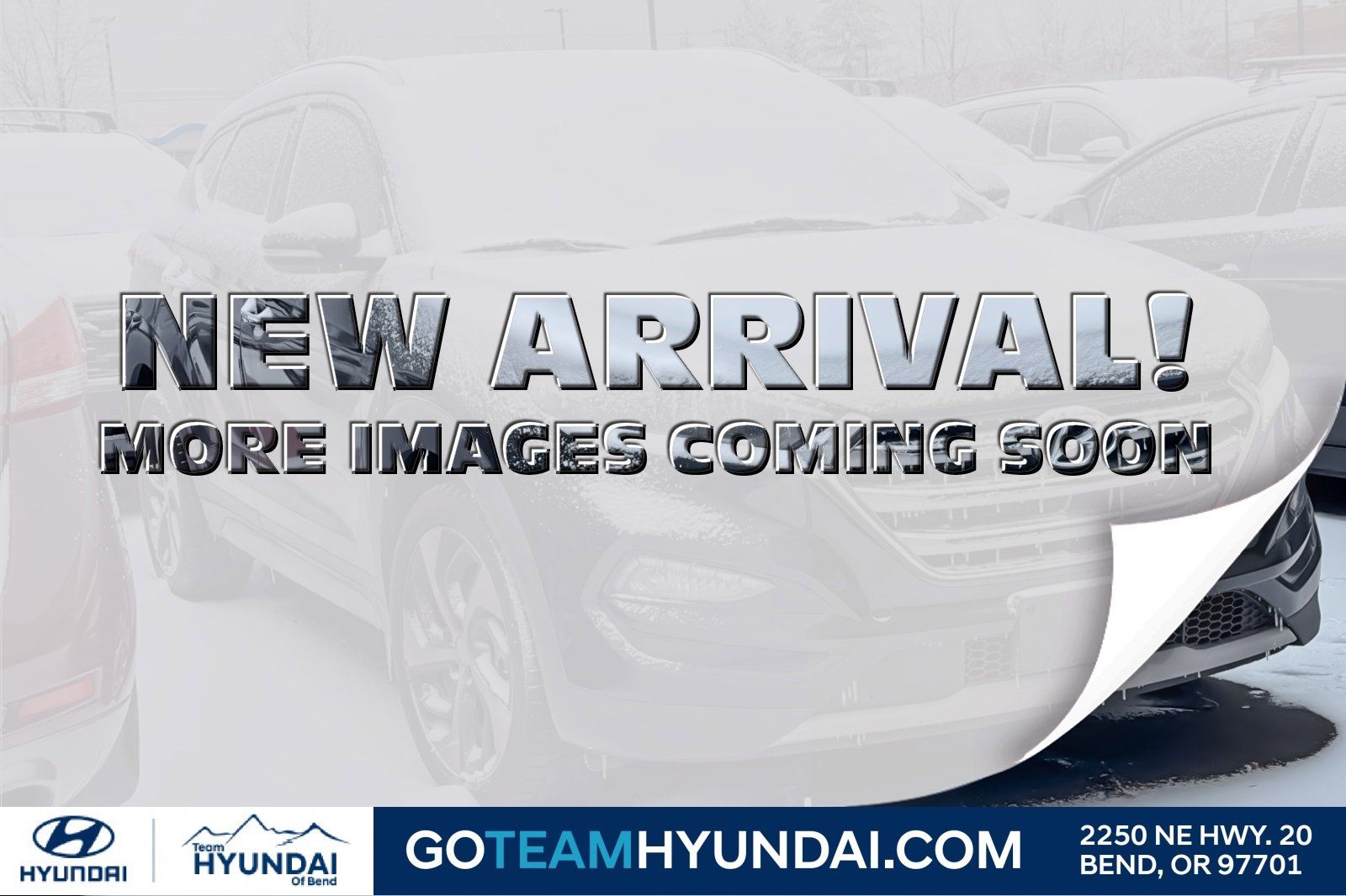 Used 2017 Hyundai Tucson Limited w/ Limited Ultimate Package 03