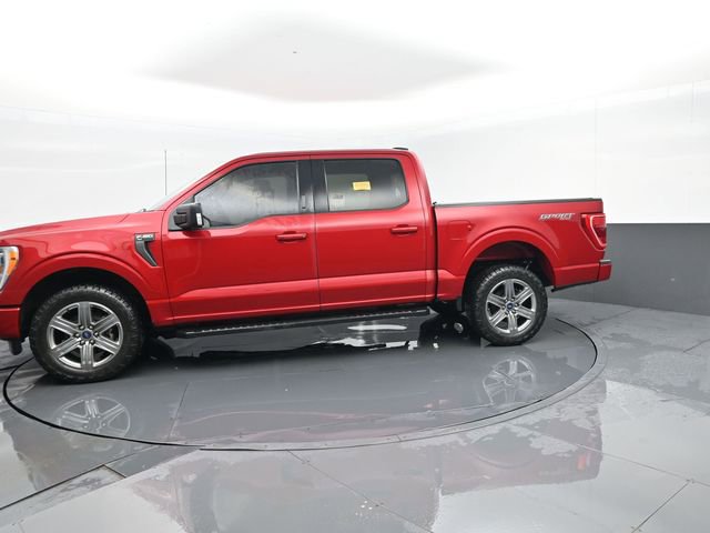 Used 2022 Ford F150 XLT w/ Equipment Group 302A High AWD/4WD image 5