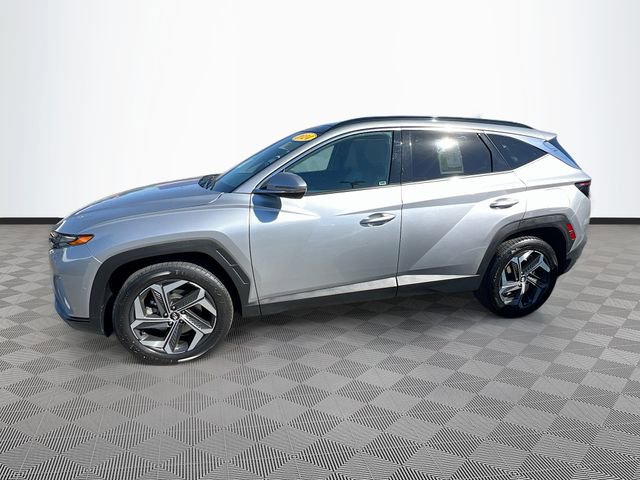 Used 2024 Hyundai Tucson Limited image 4