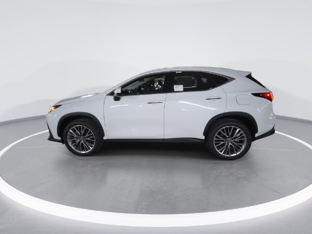 Certified 2026 Lexus NX 350 AWD w/ Cold Area Package image 5