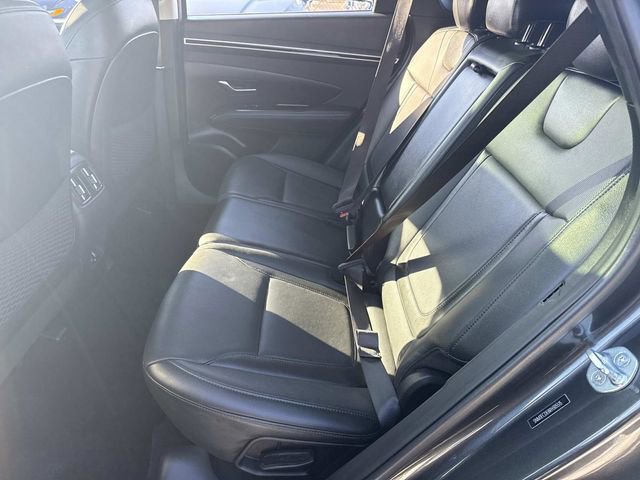 Certified 2024 Hyundai Tucson Limited image 16