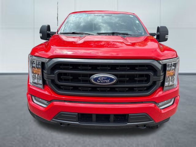 Used 2023 Ford F150 XLT w/ Equipment Group 302A High AWD/4WD image 6