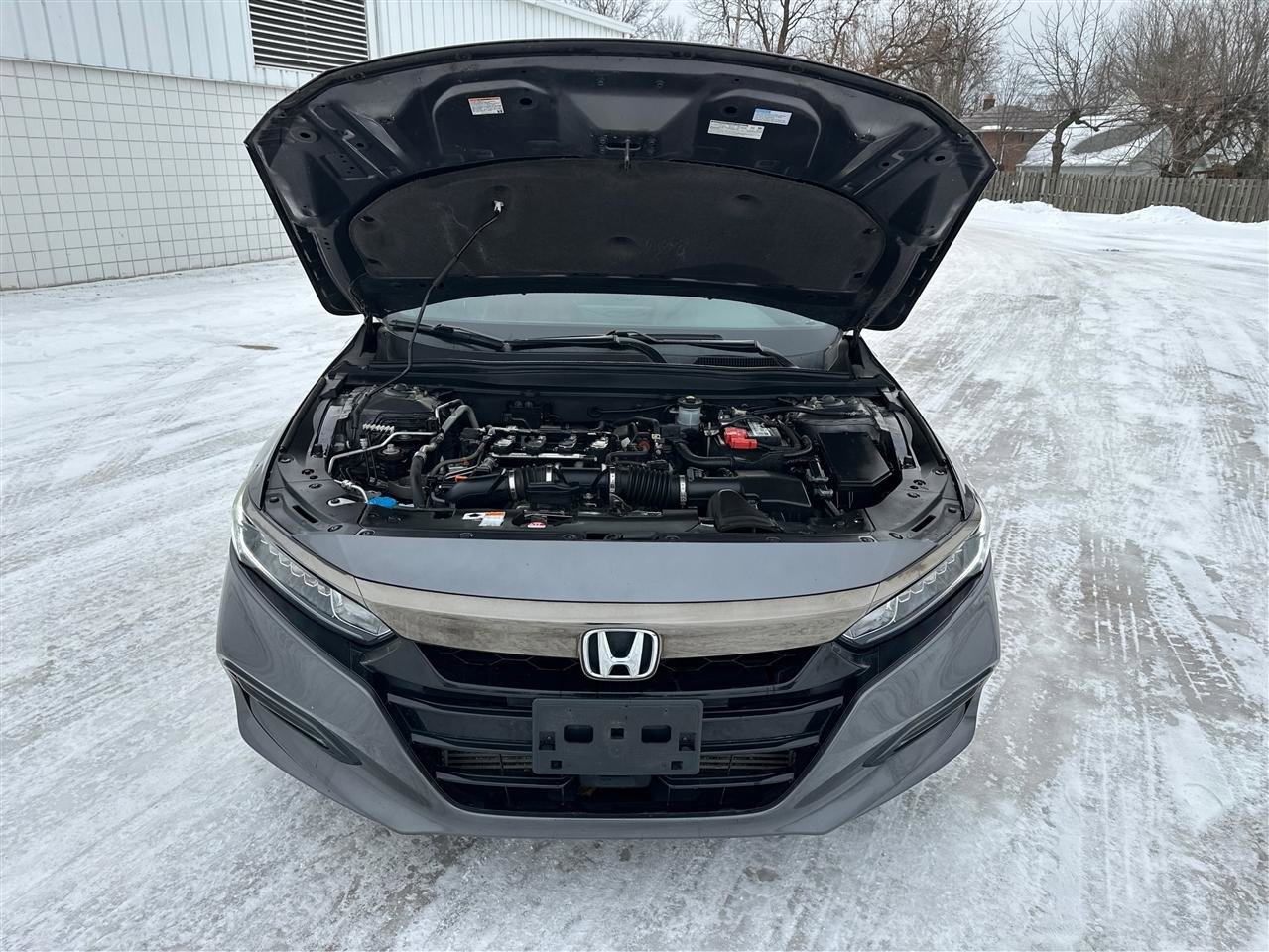 Used 2019 Honda Accord Sport image 11