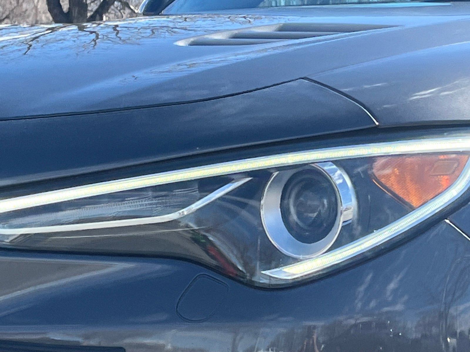 Used 2019 Alfa Romeo Stelvio Quadrifoglio w/ Driver Assist Dynamic Package image 11