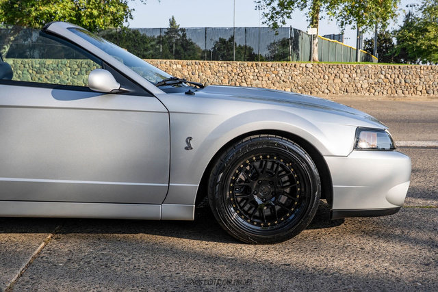 Used 2003 Ford Mustang Cobra image 11