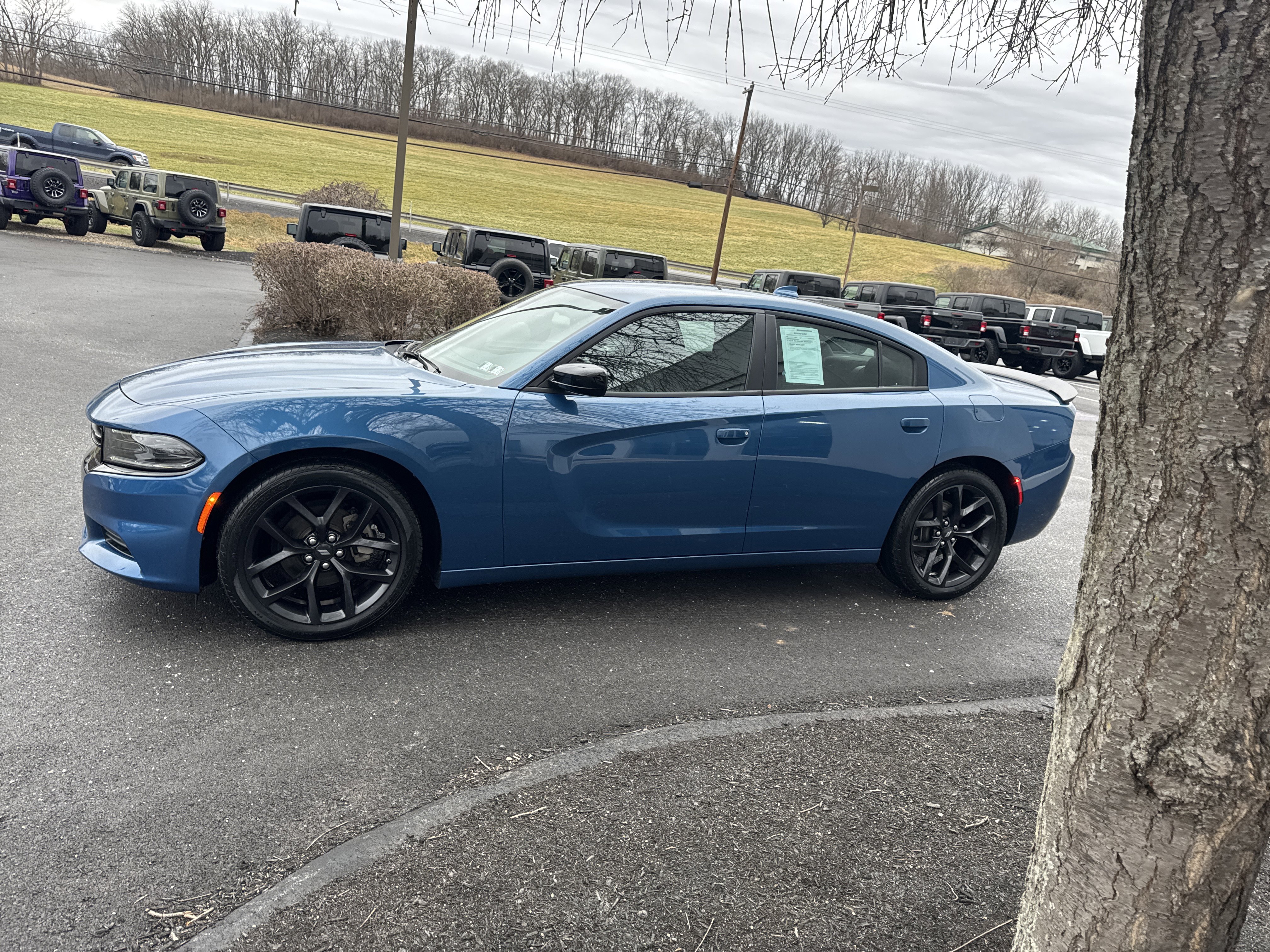 Used 2023 Dodge Charger SXT w/ Blacktop Package image 7