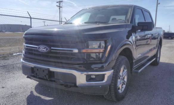 Used 2025 Ford F150 XLT w/ Equipment Group 301A Standard image 13